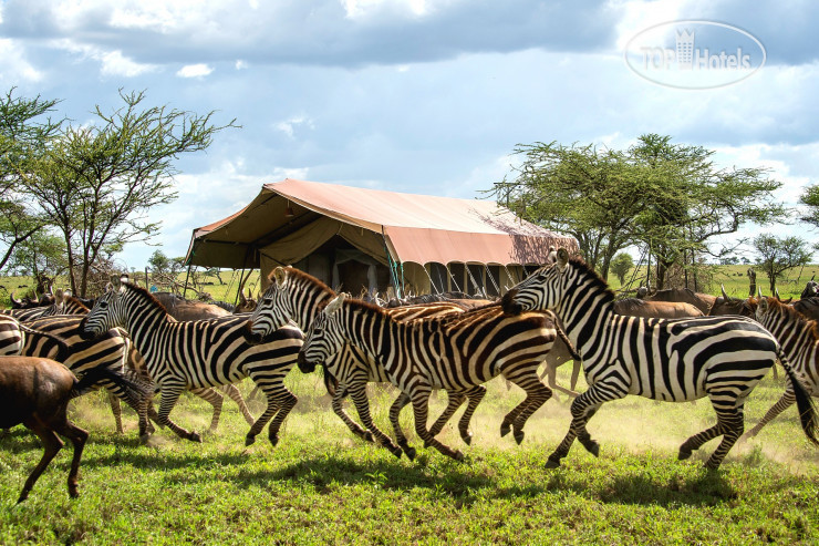 Photos Serengeti Sametu Camp