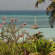 Swahili Beach Resort 