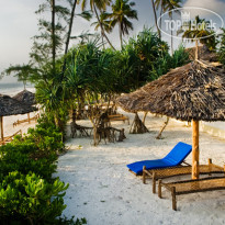 Zanzibar Retreat 