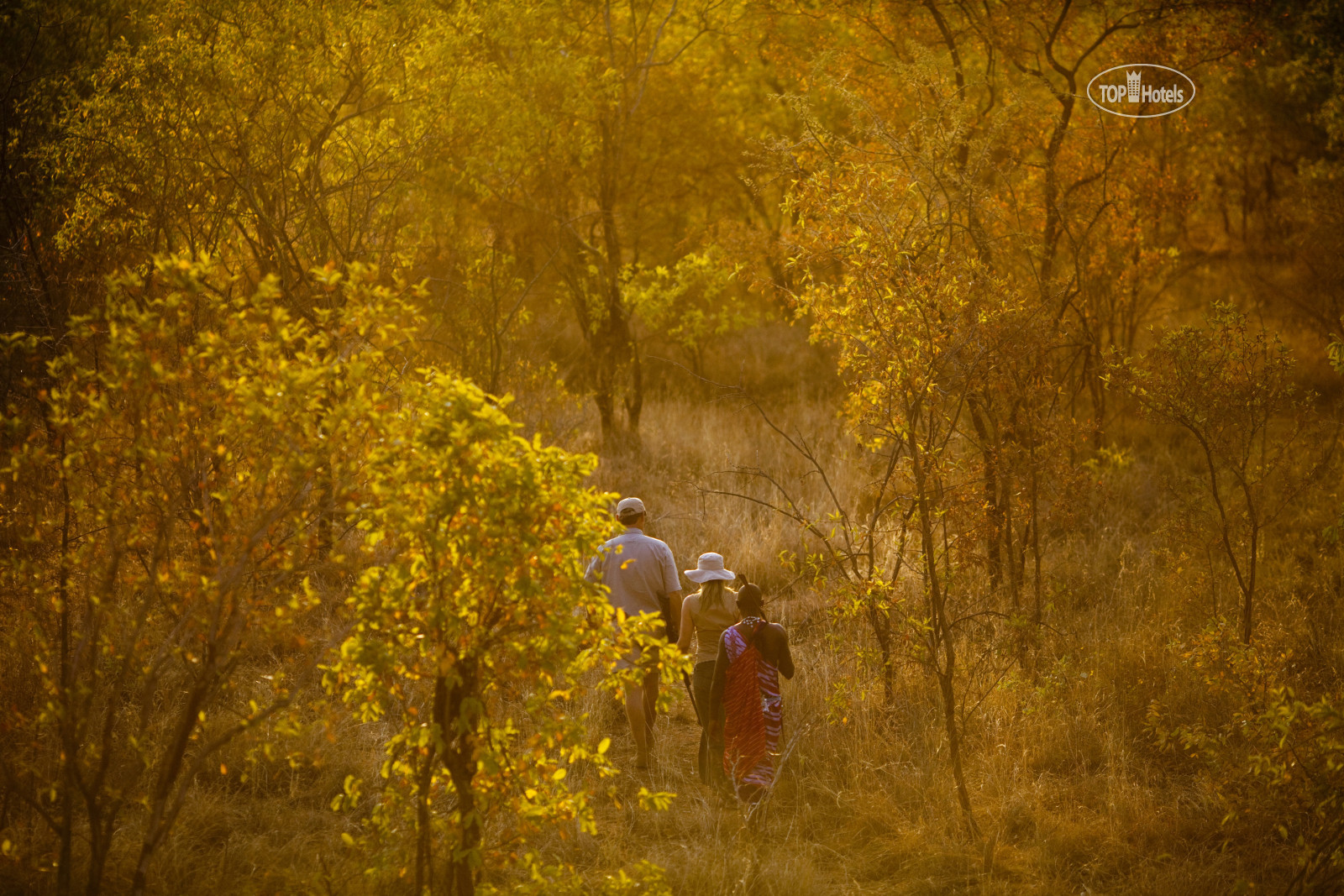 Elewana Tarangire Treetops