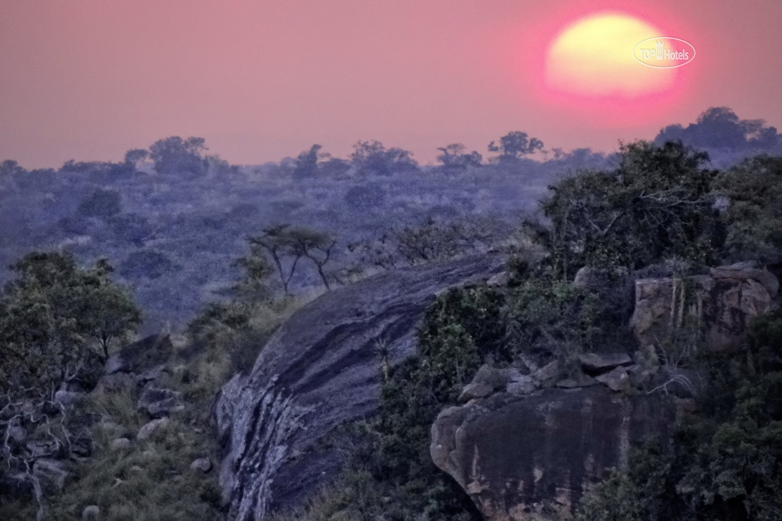 Elewana Tarangire Treetops