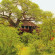 Tarangire Treetops by Elewana 