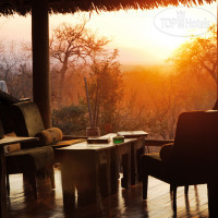 Tarangire Treetops by Elewana 5*