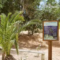 Iberostar Waves Mehari Djerba 