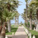 Iberostar Selection Eolia Djerba 