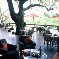 Londolozi Private Game Reserve 