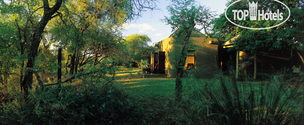 Фотографии отеля  Sabi Sabi Bush Lodge 5*