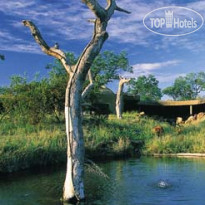 Sabi Sabi Earth Lodge 