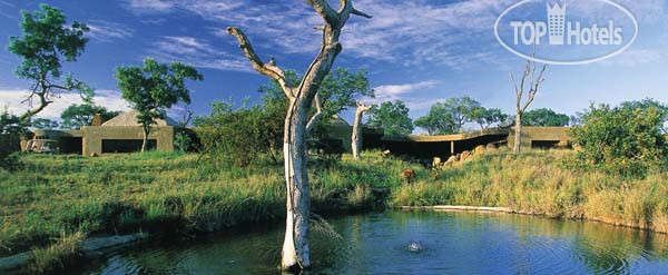 Фото Sabi Sabi Earth Lodge