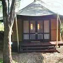 Ngala Tented Safari Camp 