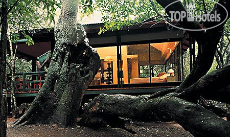 Фотографии отеля  andBeyond Phinda Forest Lodge 5*