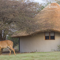Zululand Safari Lodge Внешний вид