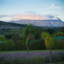 Cultivar Guest Lodge 