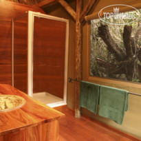 Lalibela Game Reserve Luxury Tented Room Tree Tops