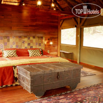 Lalibela Game Reserve Luxury Tented Room Tree Tops