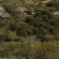 Lalibela Game Reserve Внешний вид
