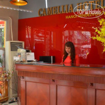 Camellia 4 Hotel 