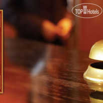 Violin Hotel 