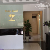Tulip Hotel 