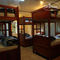 Wolfpack Hostel Dalat 