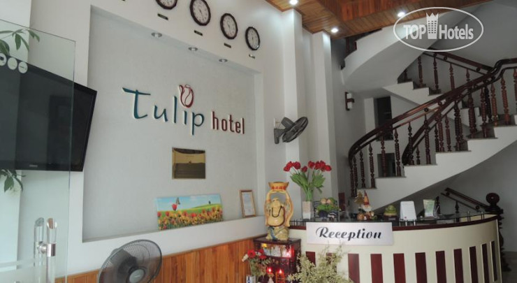 New photos from tourists Tulip Hotel 1*