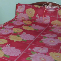 Thanh Thuy Guesthouse 