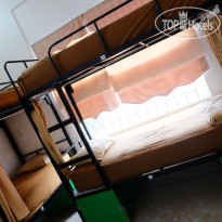 Danang Backpackers Hostel Общий женский номер