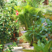 Nhat Huy Garden Guesthouse 