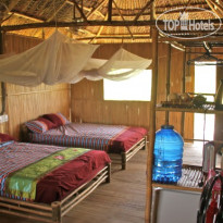 Nguyen Shack