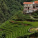 Фото Elysian Sapa Hotel