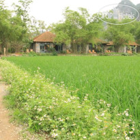 Tam Coc Garden 