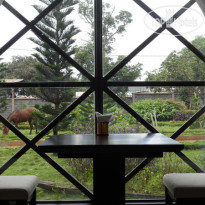 Coffee Tour Resort 