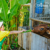 Alma Resort Cam Ranh 