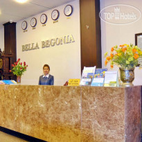 Bella Begonia 