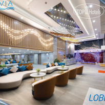 Xavia Hotel Hotel Lobby