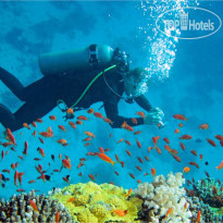 The Art Nest Hotel - Nha Trang