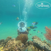 Paradise Resort Nha Trang 