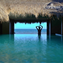Green Organic Villas VIP Villa
