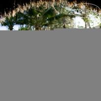 Green Organic Villas VIP Villa