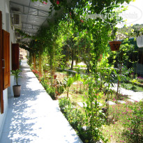 Duc Thao Guest House 