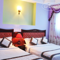 Palm Hotel - Hoang Dung 