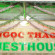 Ngoc Thao Guest House Отель