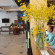 Truong Dua Hotel 