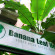 Фото Banana Leaf Hotel