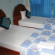 Viet Dream Travel 
