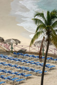 Sonesta Maho Beach Resort & Casino 4*