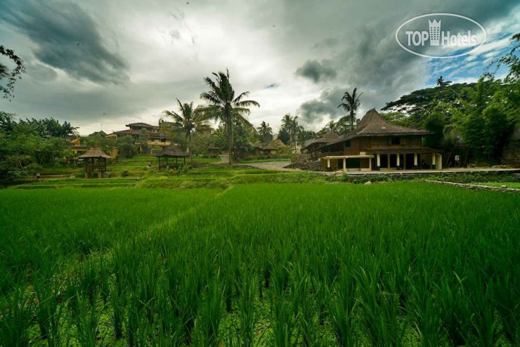 Photos Paddy City Resort Malang Hotel