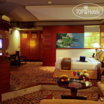 Savoy Homann 