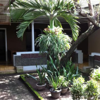 Borobudur Guest House 