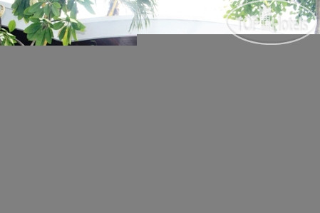 Новые добавленные фото туристов Roemah Oma Guesthouse 1*